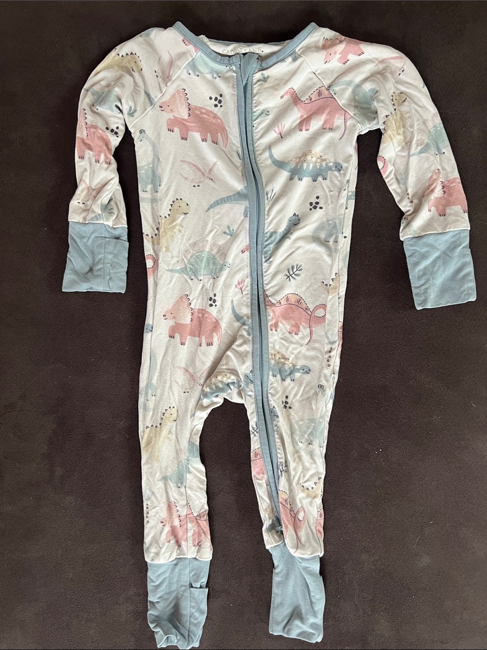 Caden Lane Dinosaur Zippy